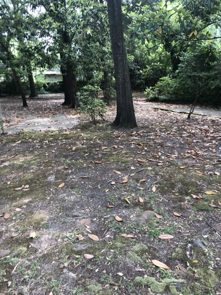 Affordable yard cleanup service for residential properties in Selma, AL by Bolden Lawn And Cleaning Service