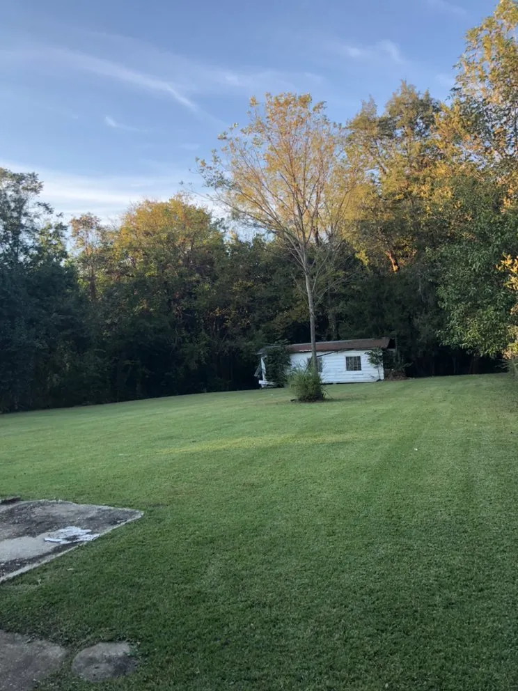 Professional yard maintenance in Selma, AL - Bolden Lawn And Cleaning Service