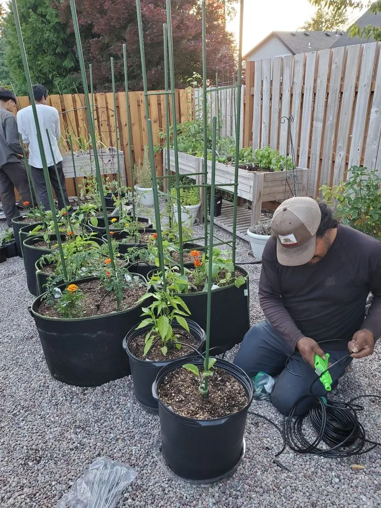 Local yard cleanup service experts serving Gresham, OR - Bolder Landscape