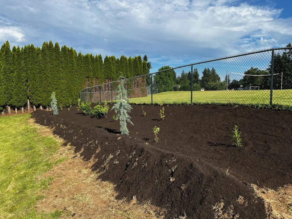 Reliable yard cleanup service in Gresham, OR by Bolder Landscape