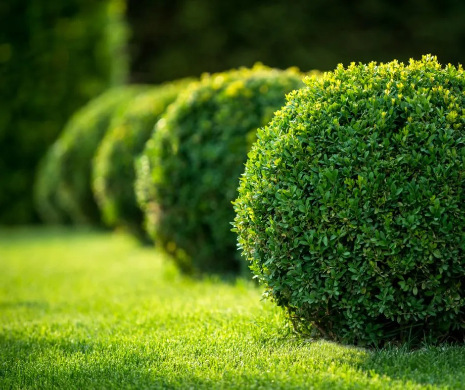 Top-rated residential landscaping in Star, ID by Bolder Lawns & Landscaping