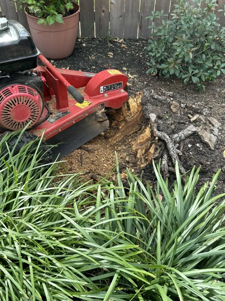 Trusted landscaping services for homes across Houston, TX - Bolds Landscaping