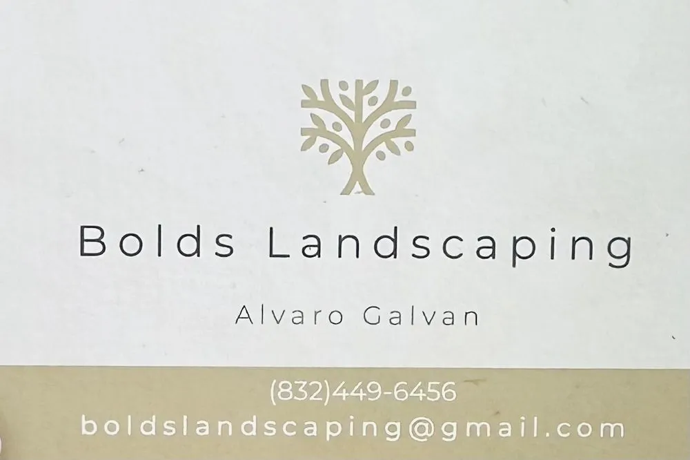 Reliable landscape design experts serving Houston, TX - Bolds Landscaping
