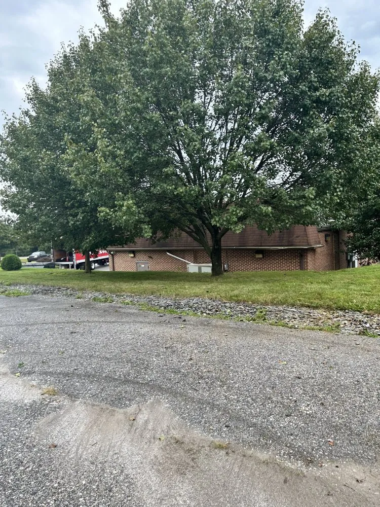 Reliable yard cleanup service experts serving Boiling Springs, PA - Bolen Lawn And Landscape