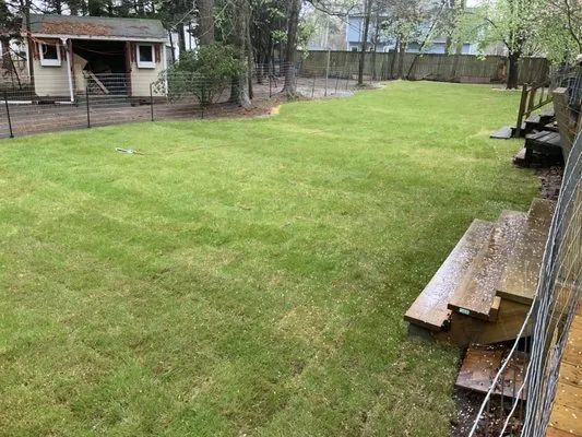 Boling Green Earth Care Logo