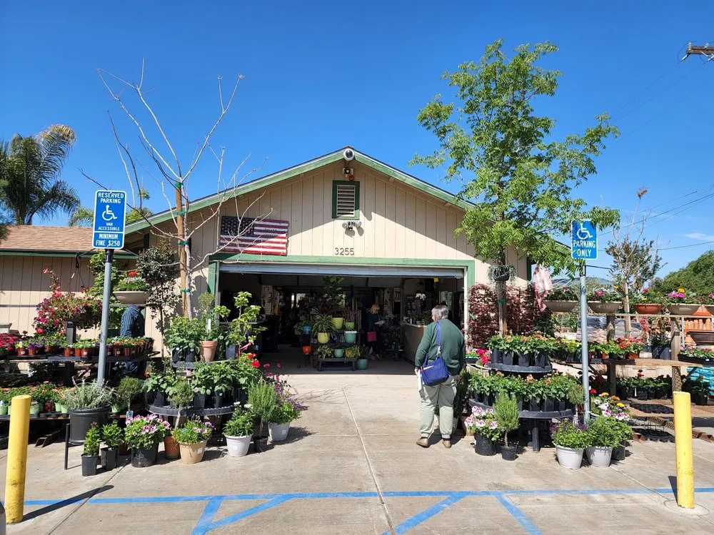 Local outdoor landscaping in Bakersfield, CA - Bolles Nursery Landscape