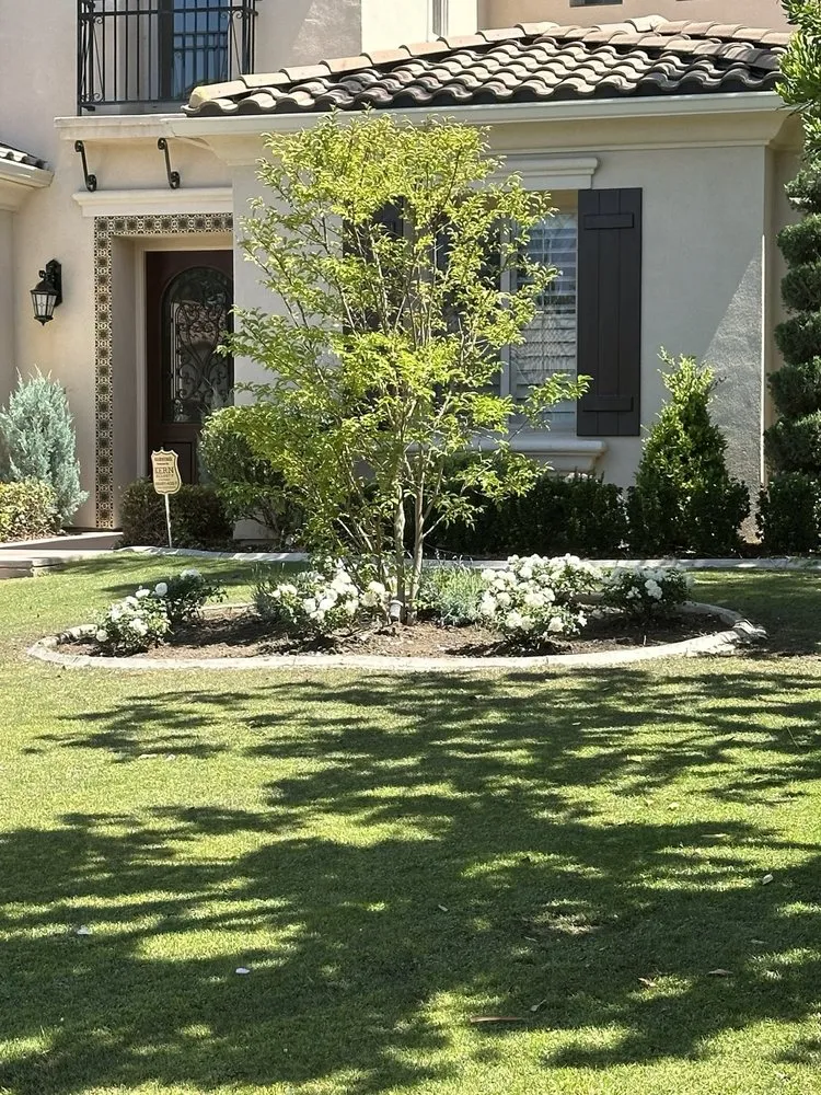 Professional yard maintenance in Bakersfield, CA by Bolles Nursery Landscape