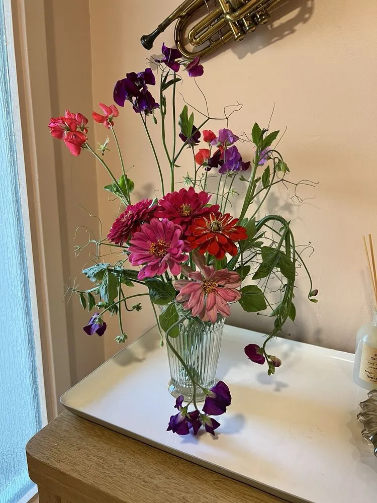 Custom yard cleanup service in Bakersfield, CA by Bolles Nursery Landscape