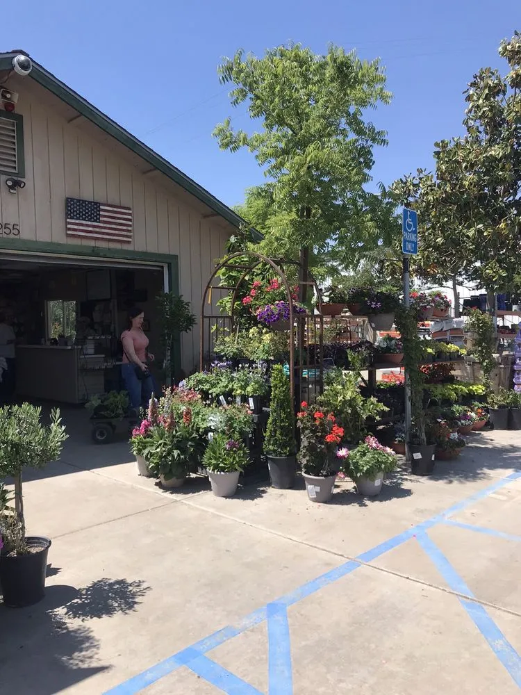 Expert garden landscaping with custom design across Bakersfield, CA - Bolles Nursery Landscape
