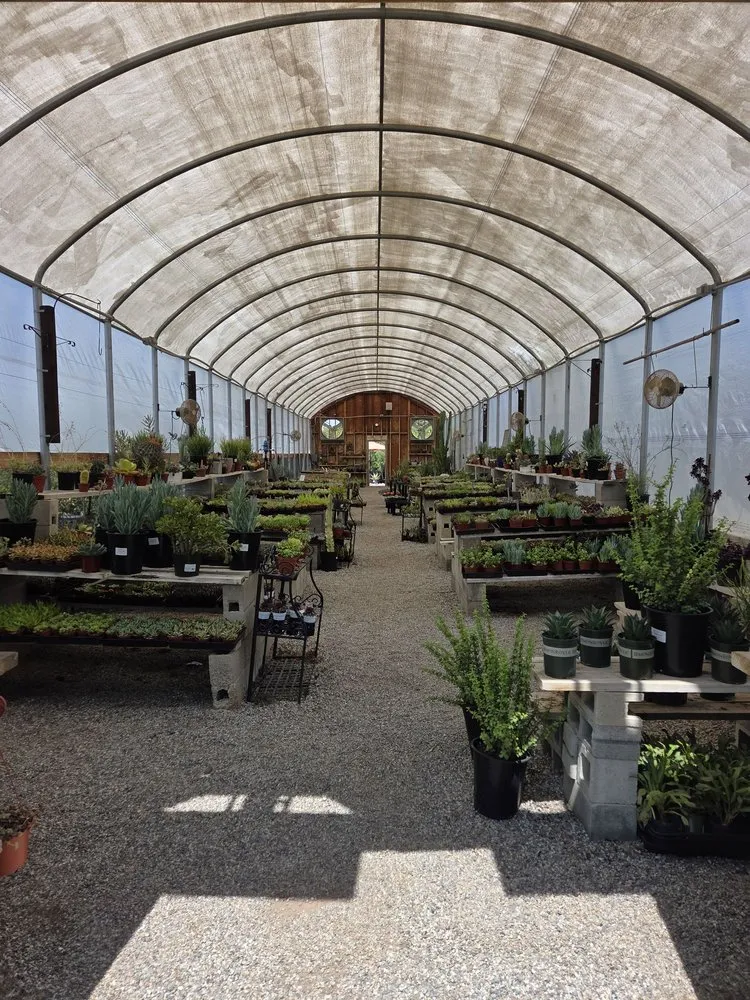Trusted garden landscaping in Bakersfield, CA - Bolles Nursery Landscape
