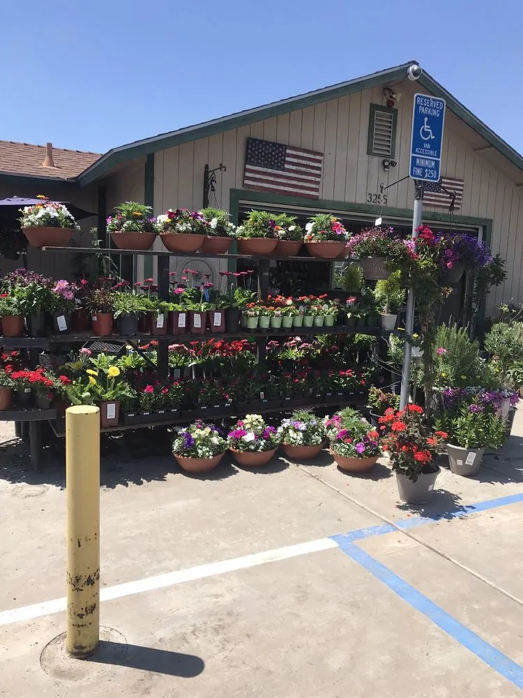Custom garden landscaping for beautiful yards in Bakersfield, CA by Bolles Nursery Landscape