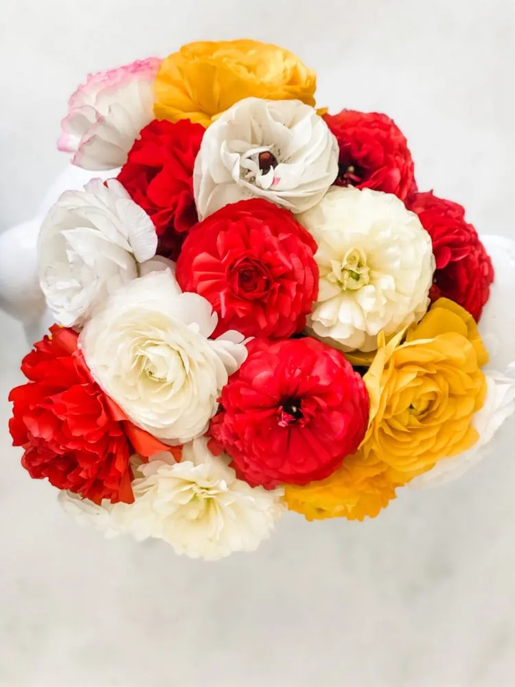 Reliable landscape design in Bakersfield, CA by Bolles Nursery Landscape