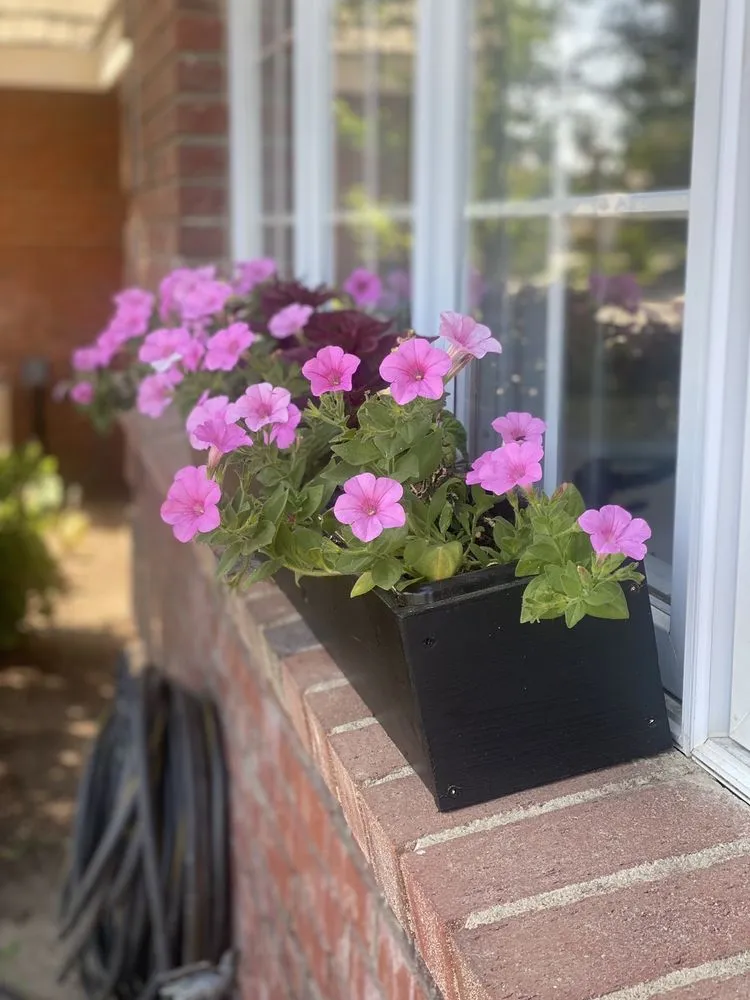 Expert landscaping services experts serving Bakersfield, CA - Bolles Nursery Landscape