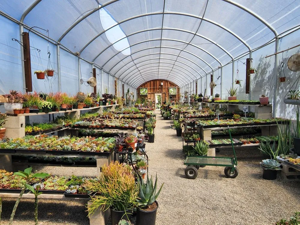 Affordable landscape installation in Bakersfield, CA - Bolles Nursery Landscape