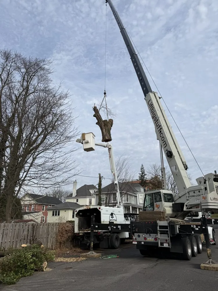 Reliable residential landscaping for residential properties in New Britain, PA by Bolton Landscaping and Tree Service