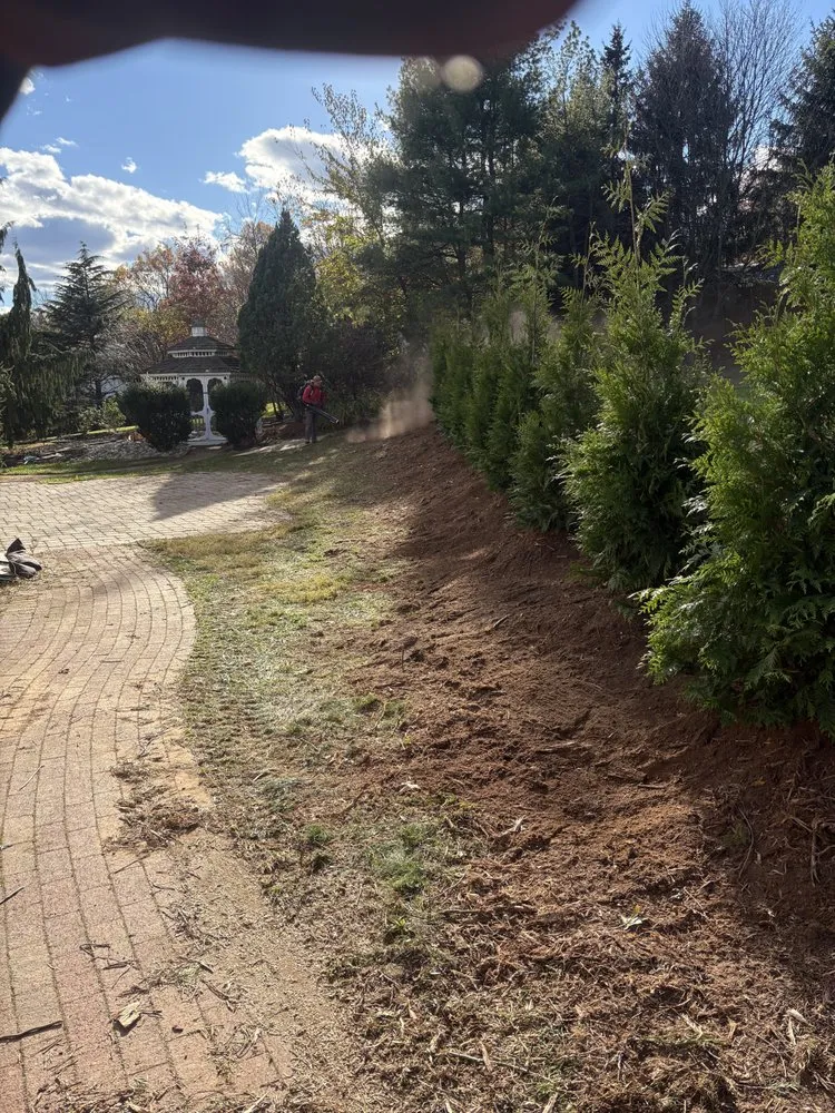 Local lawn care service in New Britain, PA - Bolton Landscaping and Tree Service