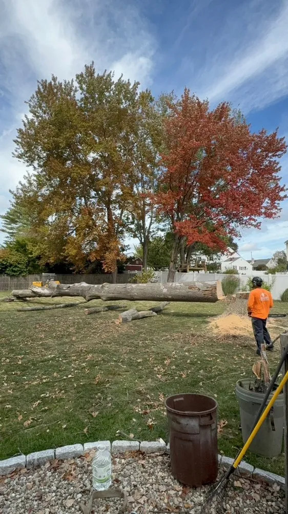 Top-rated garden landscaping experts serving New Britain, PA - Bolton Landscaping and Tree Service