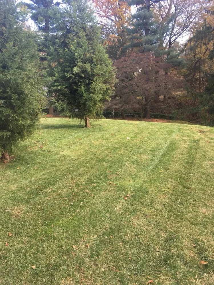 Local lawn care service for homes in New Britain, PA by Bolton Landscaping and Tree Service