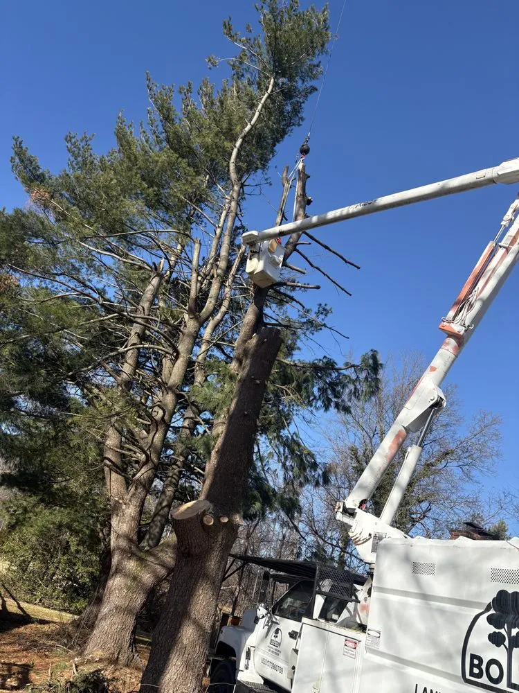 Trusted landscaping services in New Britain, PA - Bolton Landscaping and Tree Service