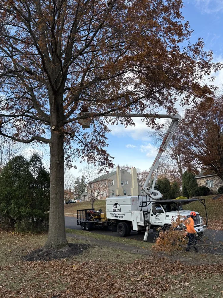 Local landscaping services in New Britain, PA by Bolton Landscaping and Tree Service