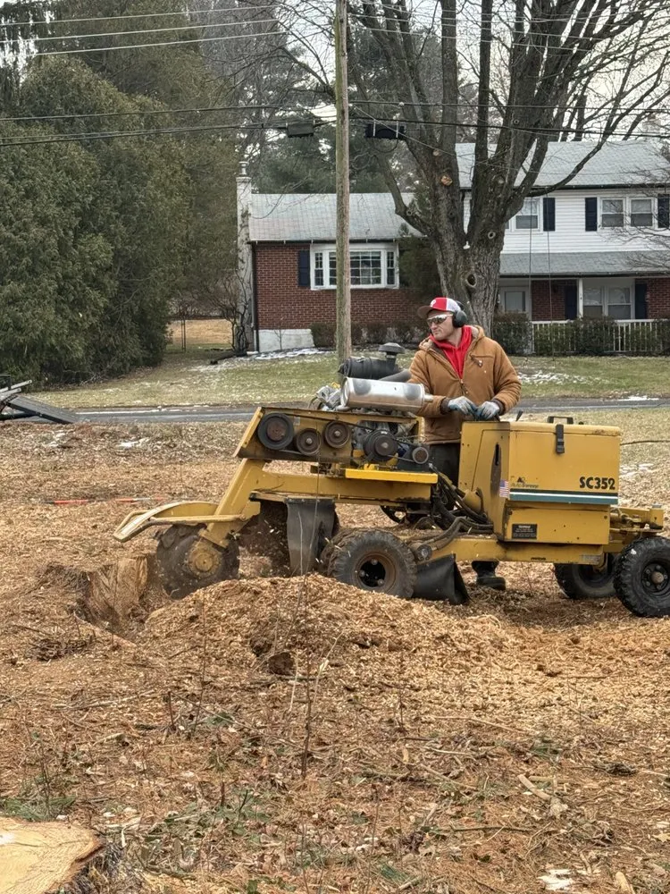 Trusted garden landscaping experts serving New Britain, PA - Bolton Landscaping and Tree Service
