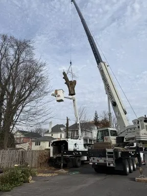 Bolton Landscaping and Tree Service