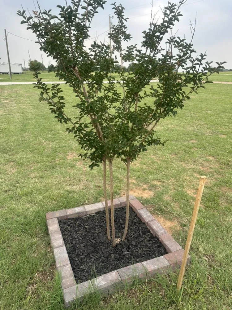 Local garden landscaping with custom design in Mason, TX by Bolton's Lawn N Landscape