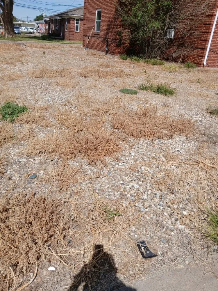 Expert landscape installation in Amarillo, TX - Bomb City Services