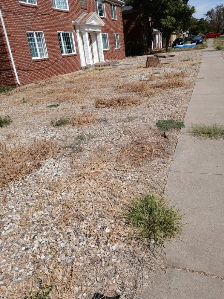 Professional lawn mowing service in Amarillo, TX by Bomb City Services
