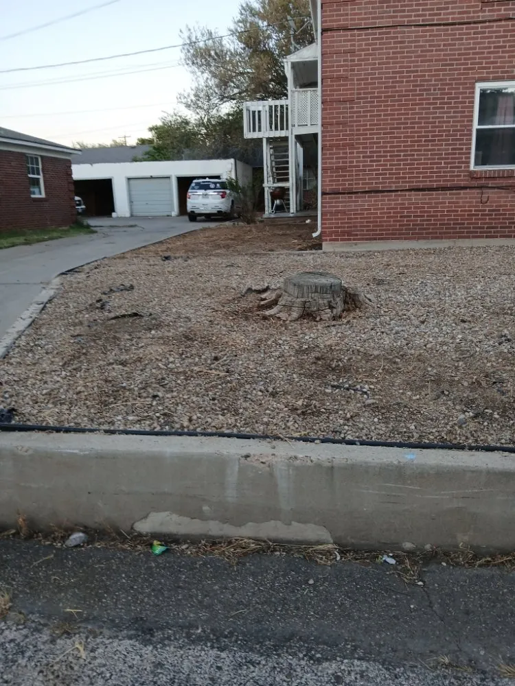 Expert lawn care service experts serving Amarillo, TX - Bomb City Services