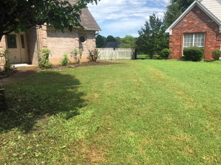 Custom residential landscaping experts serving Coldwater, MS - Bombay Lawn Service
