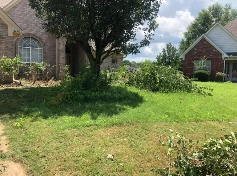 Local yard cleanup service with custom design across Coldwater, MS - Bombay Lawn Service
