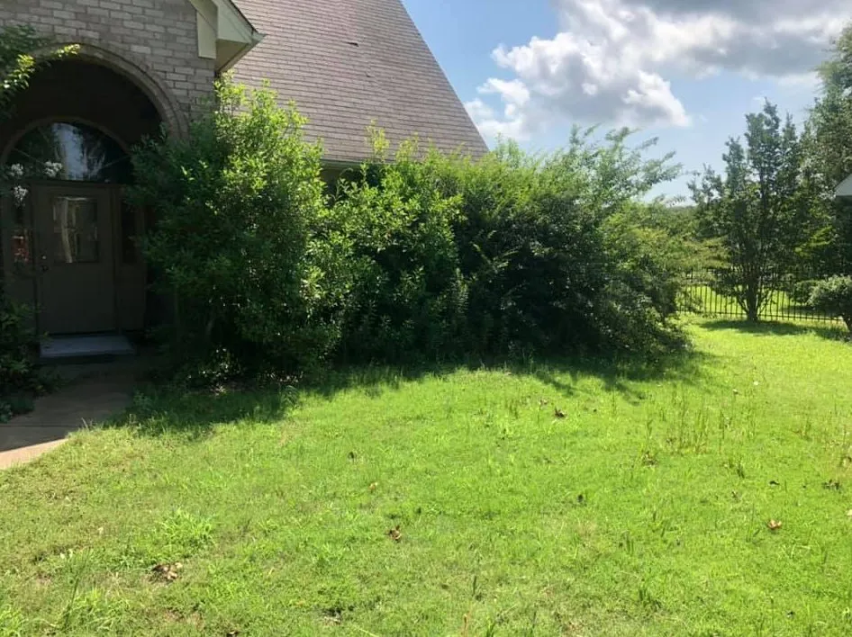 Top-rated lawn mowing service in Coldwater, MS by Bombay Lawn Service