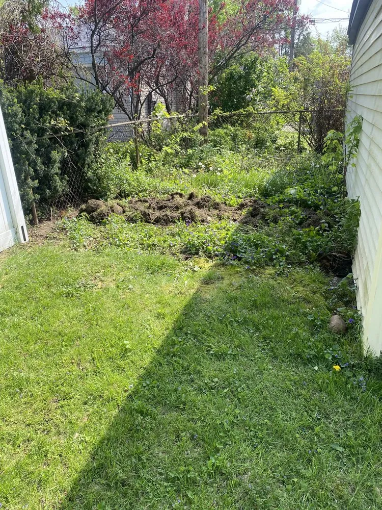 Reliable outdoor landscaping for outdoor upgrades in Saint Clair Shores, MI by Bommarito Construction