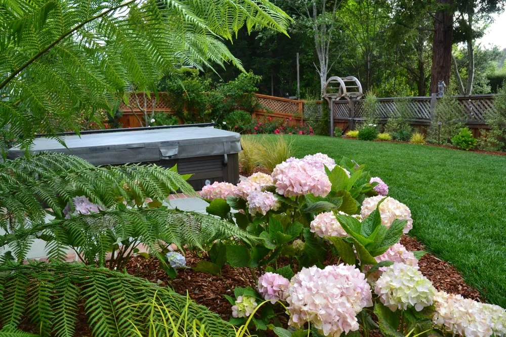 Professional yard maintenance for beautiful yards in Corte Madera, CA by Bon Terra Landscapes