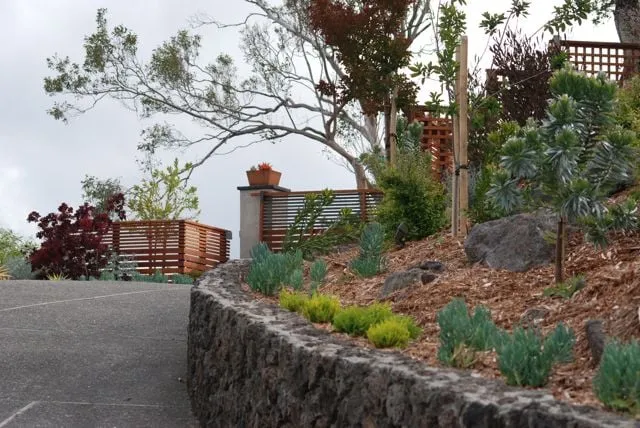 Local outdoor landscaping for outdoor upgrades in Corte Madera, CA by Bon Terra Landscapes