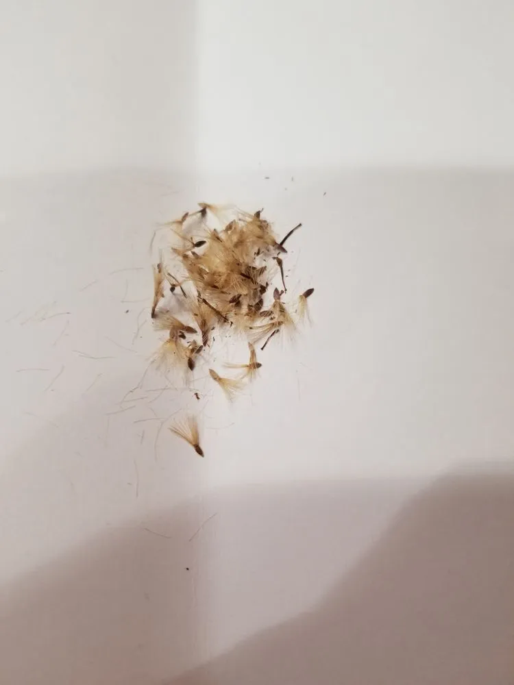 Trusted outdoor landscaping with custom design across Washington DC, DC - Bona Terra