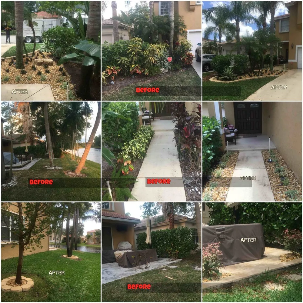 Trusted yard cleanup service experts serving Boynton Beach, FL - BonaFide Landscaping