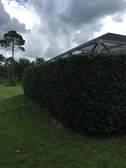 Affordable lawn mowing service for year-round maintenance in Boynton Beach, FL by BonaFide Landscaping