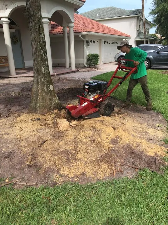 Top-rated landscape installation experts serving Boynton Beach, FL - BonaFide Landscaping