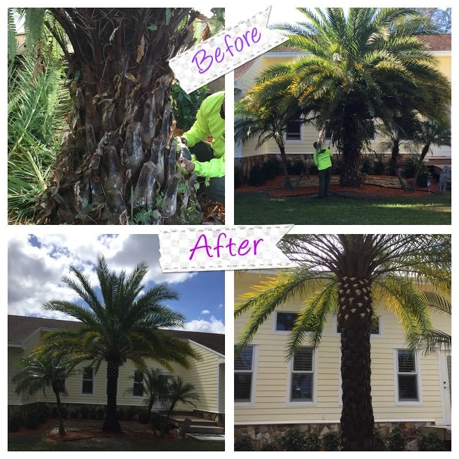 Local yard cleanup service for homes across Boynton Beach, FL - BonaFide Landscaping