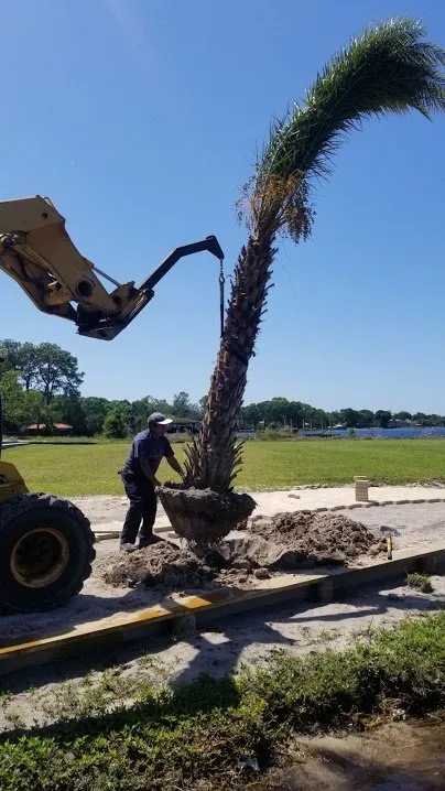 Reliable landscape installation for homes across Boynton Beach, FL - BonaFide Landscaping