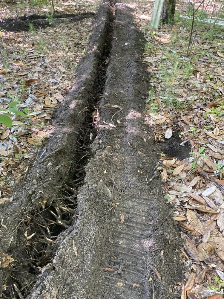 Expert residential landscaping experts serving Elgin, SC - Bond Landscaping