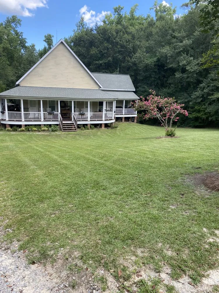 Affordable landscape installation for beautiful yards across Elgin, SC - Bond Landscaping