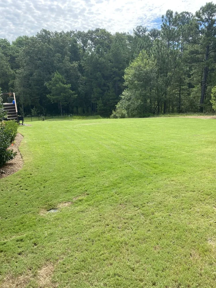 Local yard cleanup service in Elgin, SC by Bond Landscaping