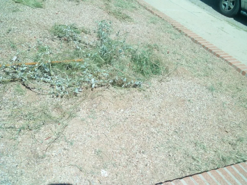 Expert landscape design for outdoor upgrades in Tucson, AZ by Bonds Family Landscape