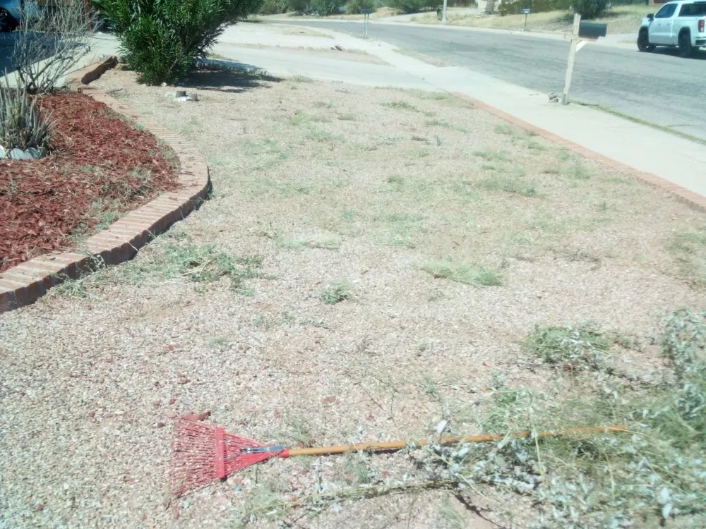 Expert yard cleanup service for residential properties in Tucson, AZ by Bonds Family Landscape