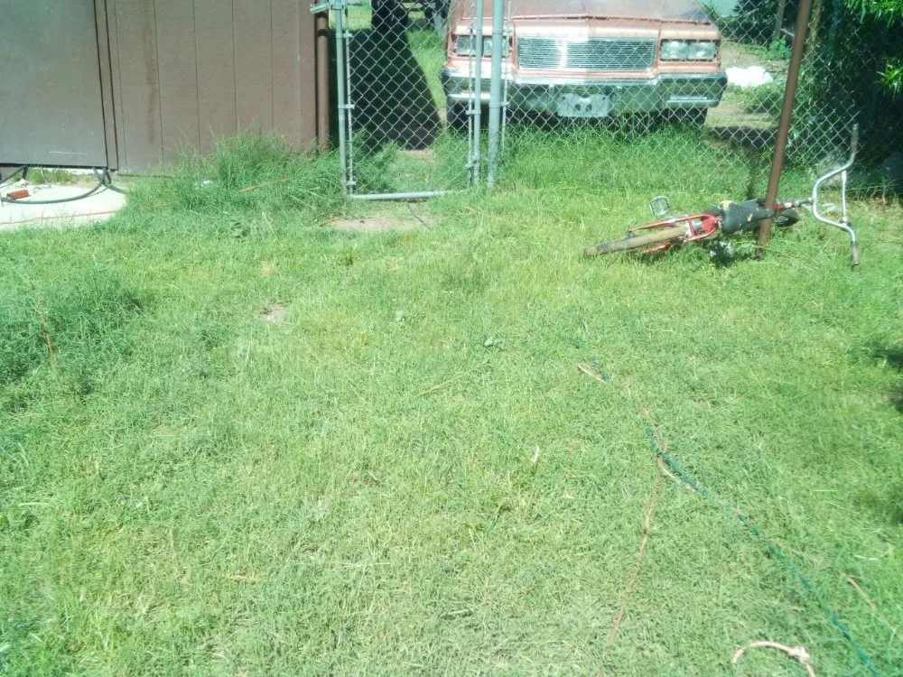 Expert landscape installation in Tucson, AZ - Bonds Family Landscape