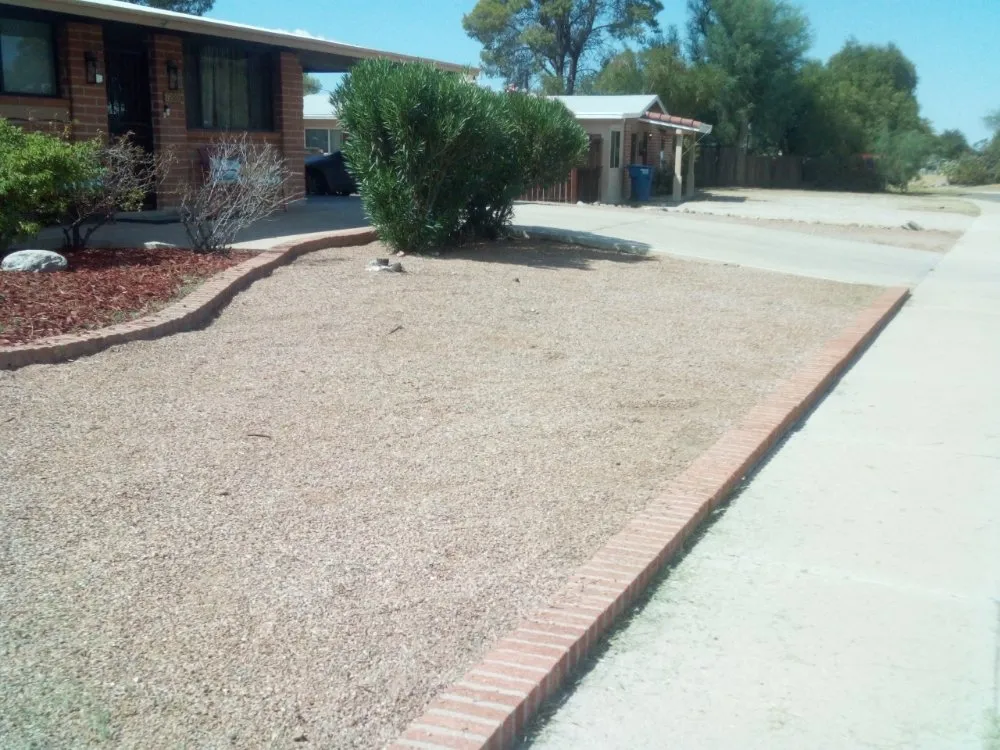 Expert yard cleanup service experts serving Tucson, AZ - Bonds Family Landscape