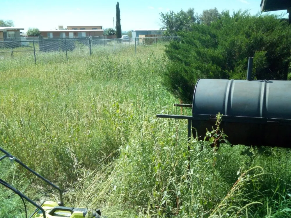 Reliable landscape design for homes in Tucson, AZ by Bonds Family Landscape